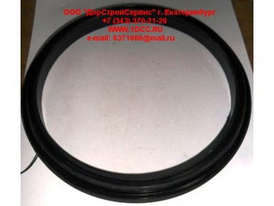 Сальник 165х195х16 балансира DF DONG FENG (ДОНГ ФЕНГ) 29ZB3-04084  для самосвала фото 1 Якутск