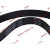 Ремень 8PK1062 ручейковый (Евро З) CREATEK CREATEK 612600020251/CK8024 фото 2 Якутск