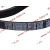 Ремень 8PK1160 SH (612600061295) SHAANXI / Shacman (ШАНКСИ / Шакман) 612600061752 фото 2 Якутск