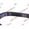 Ремень 8PK1725 DF/C CREATEK CREATEK C3911620/CK8041 фото 2 Якутск