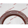 Сальник 47,63х65,07х6,35 первичного вала КПП Fuller HOWO (ХОВО) F91410 фото 3 Якутск